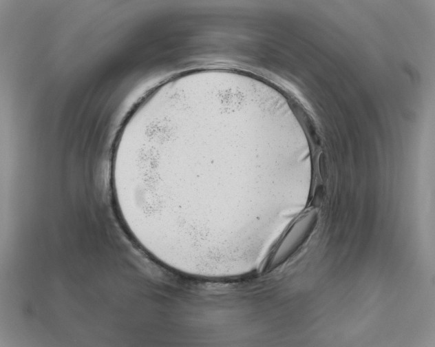 X0000112901424200910021425