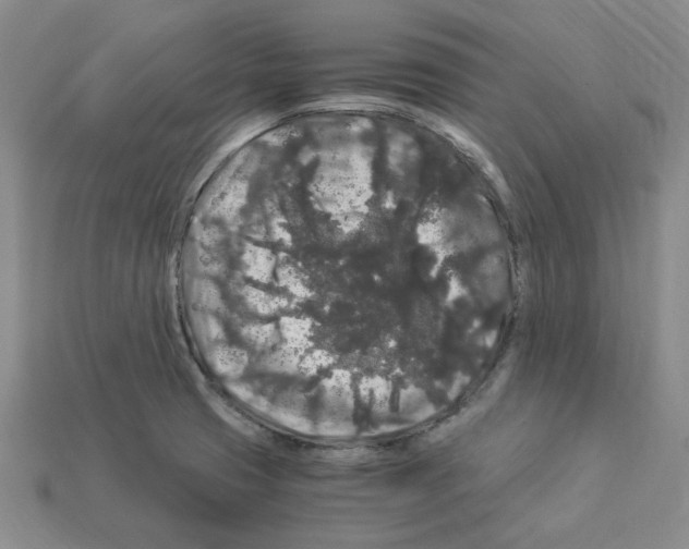 X0000112901425200910021425