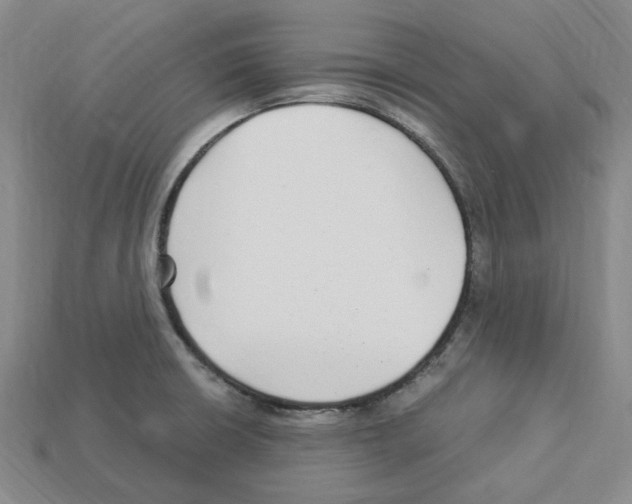 X0000112901426200910021425
