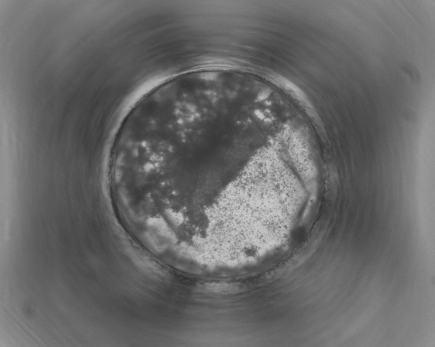 X0000112901427200910021425