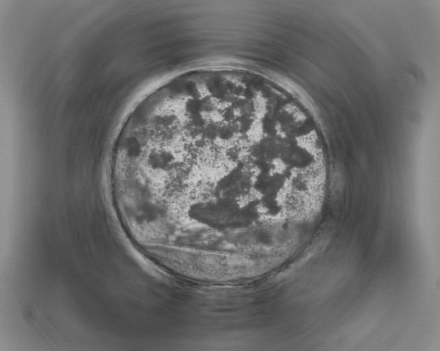 X0000112901429200910021425
