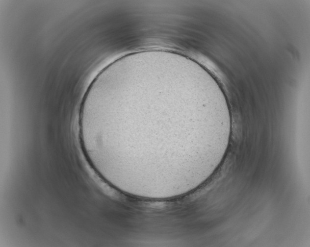 X0000112901431200910021425