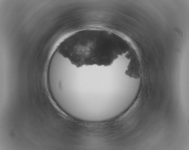 X0000112901432200910021425