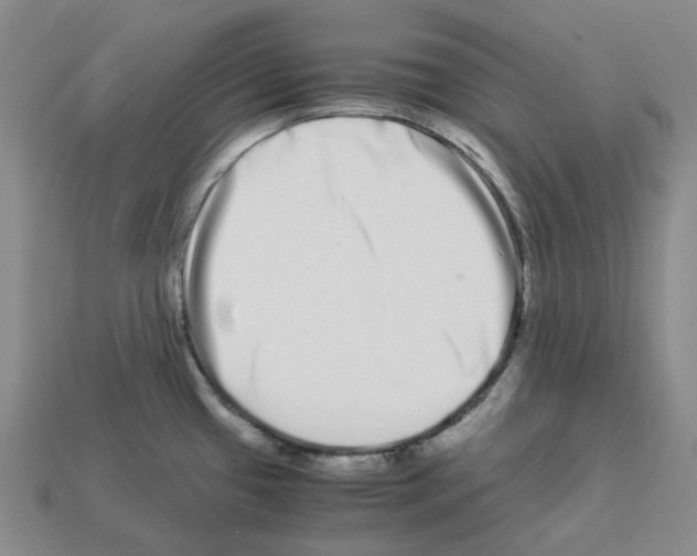 X0000112901433200910021425