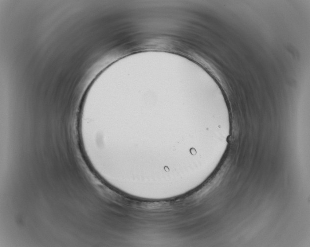 X0000112901434200910021425