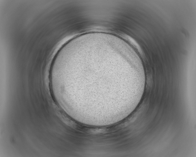 X0000112901435200910021425