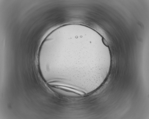 X0000112901436200910021425
