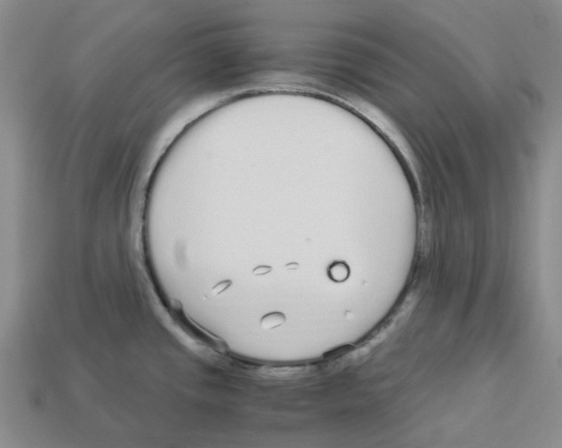 X0000112901437200910021425