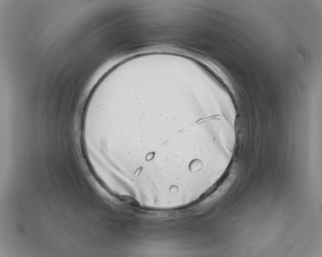 X0000112901438200910021425
