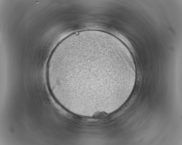 X0000112901439200910021425