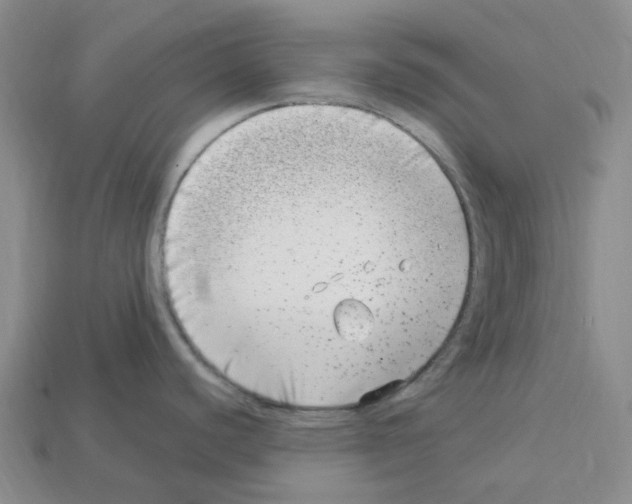 X0000112901440200910021425