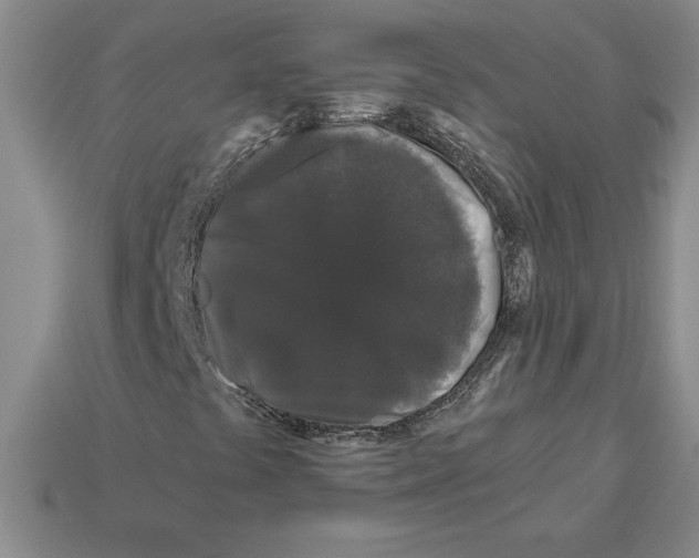X0000112901441200910021425