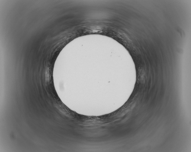 X0000112901442200910021425
