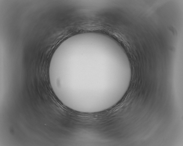 X0000112901444200910021425