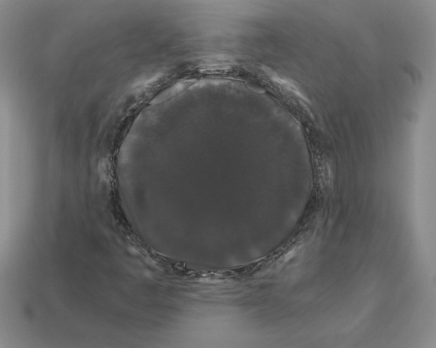 X0000112901445200910021425