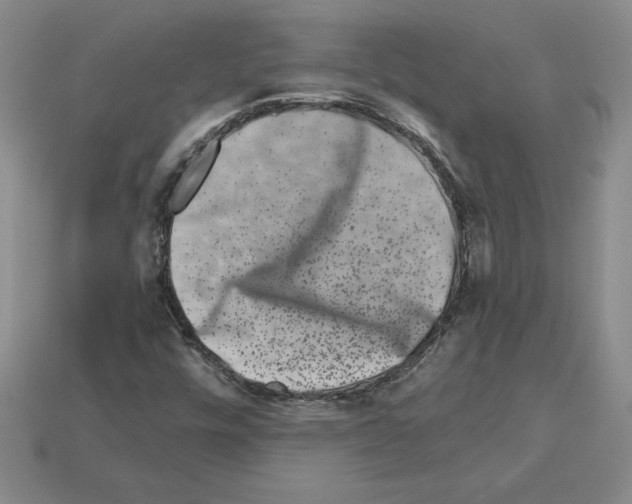 X0000112901448200910021425