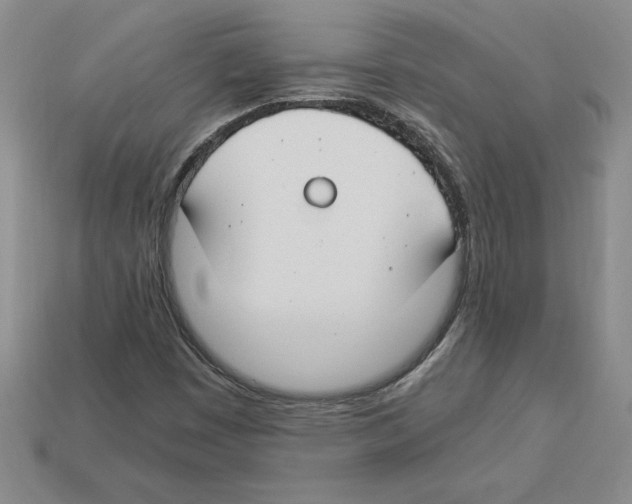 X0000112901449200910021425