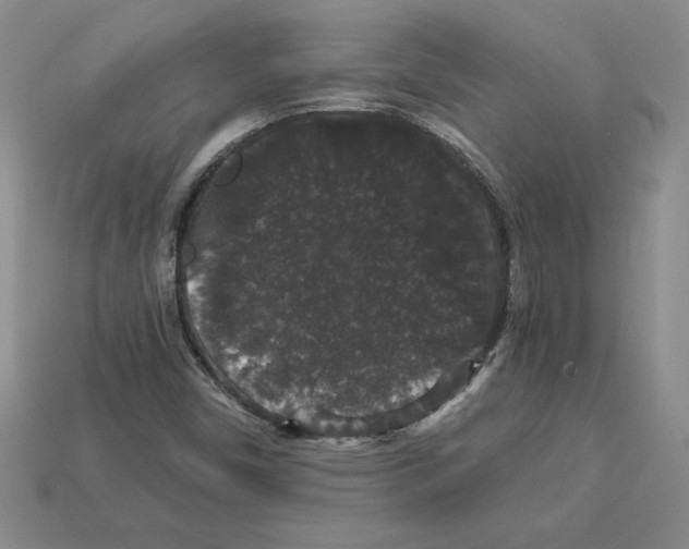 X0000112901450200910021425
