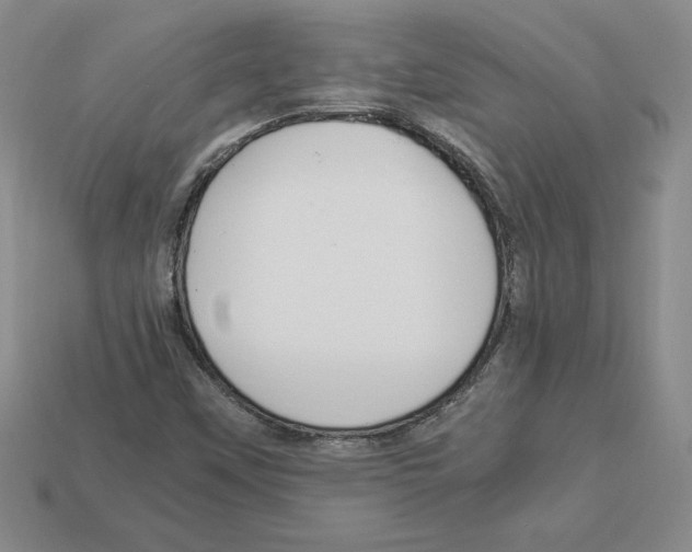 X0000112901451200910021425