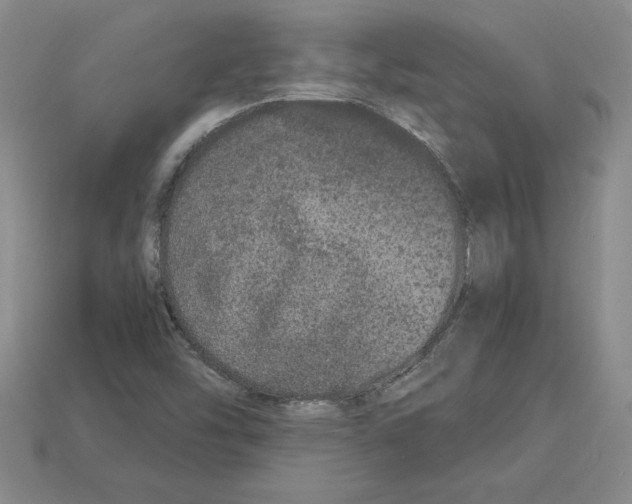 X0000112901454200910021425