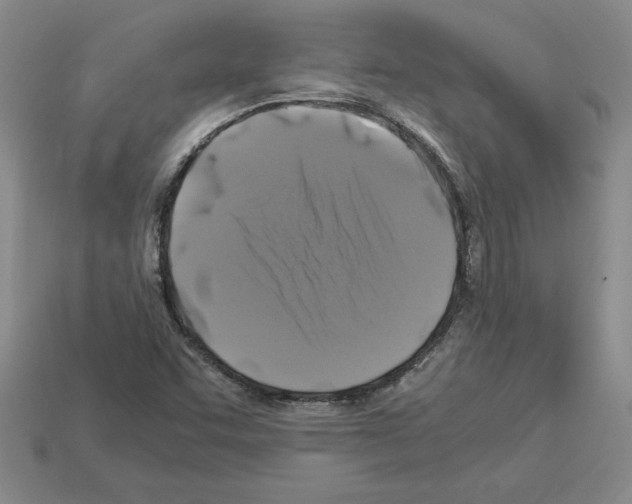 X0000112901455200910021425