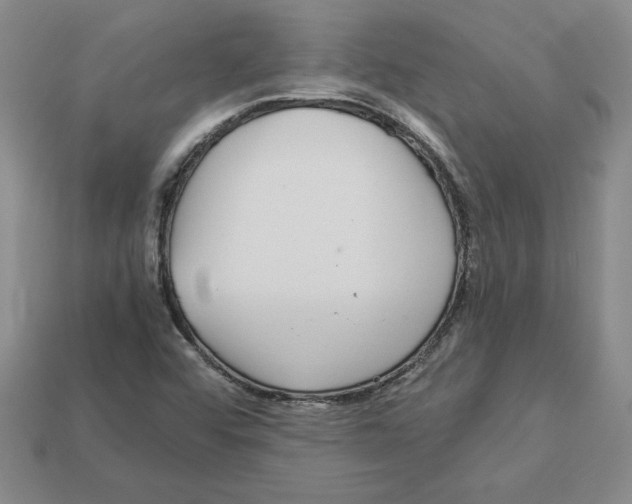 X0000112901456200910021425
