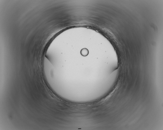 X0000112901457200910021425