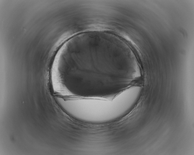 X0000112901459200910021425