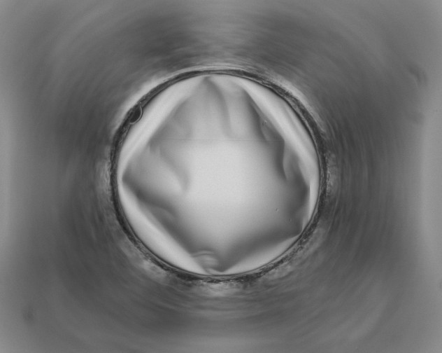 X0000112901460200910021425