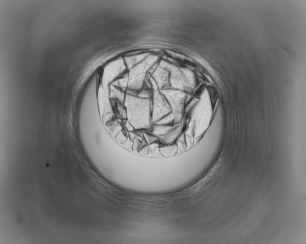 X0000112901461200910021425