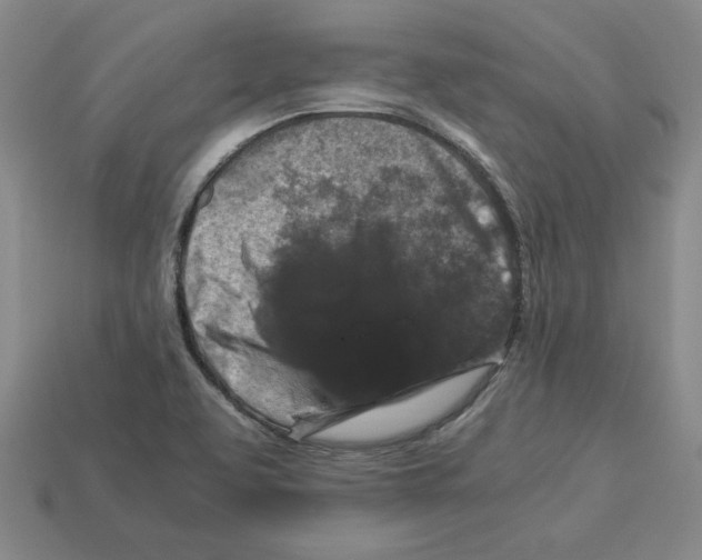 X0000112901463200910021424