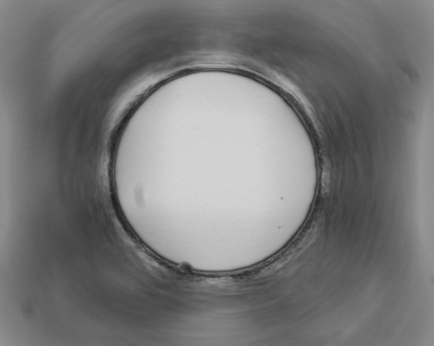 X0000112901464200910021424