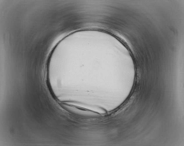 X0000112901467200910021424