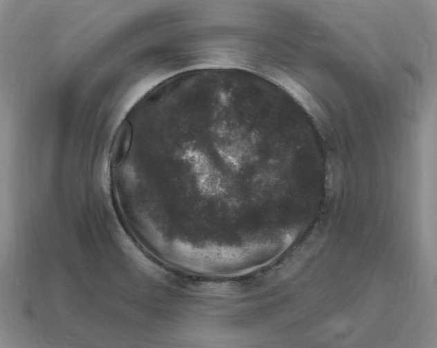 X0000112901468200910021424