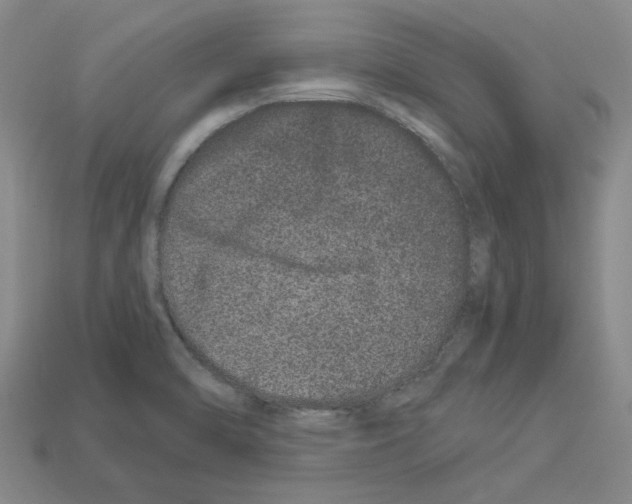 X0000112901470200910021424