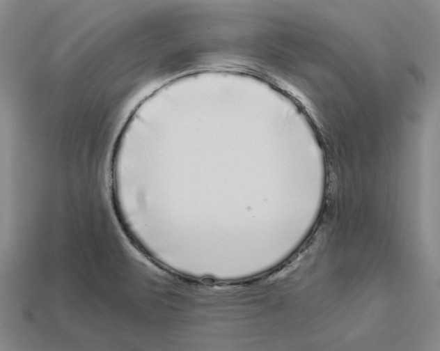 X0000112901471200910021424