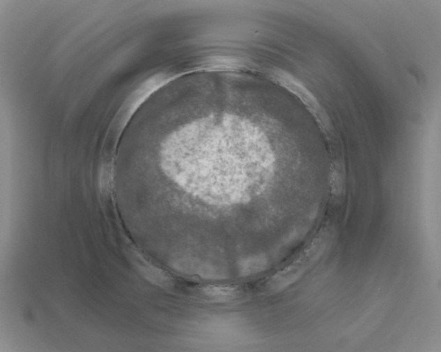 X0000112901473200910021424