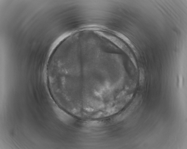 X0000112901474200910021424