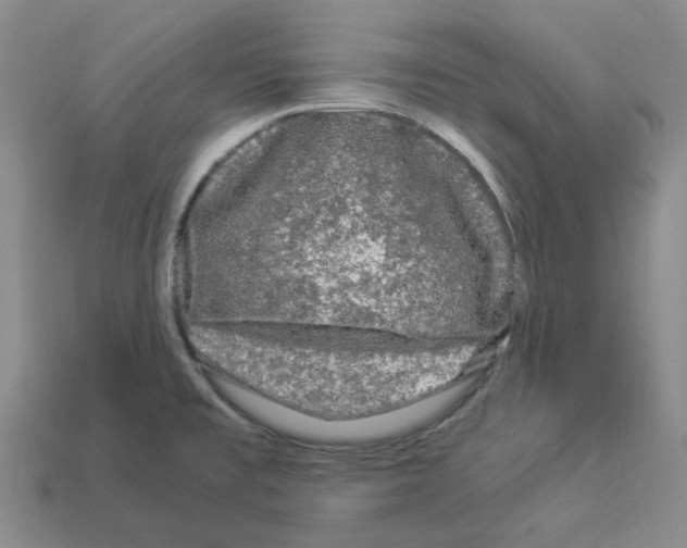 X0000112901477200910021424