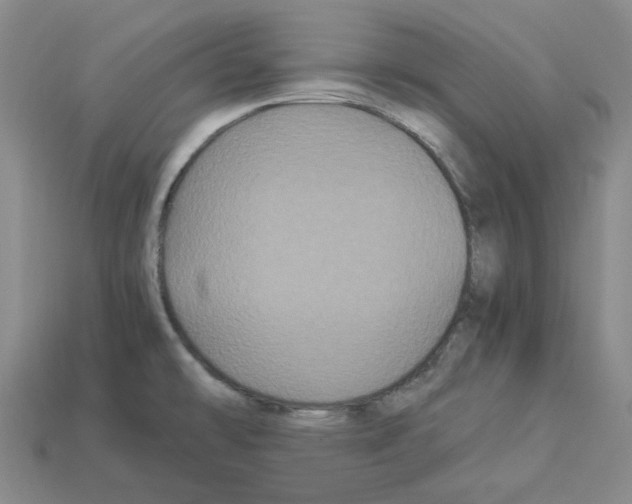X0000112901478200910021424