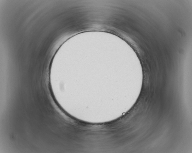 X0000112901479200910021424
