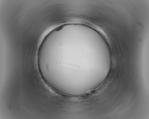 X0000112901480200910021424