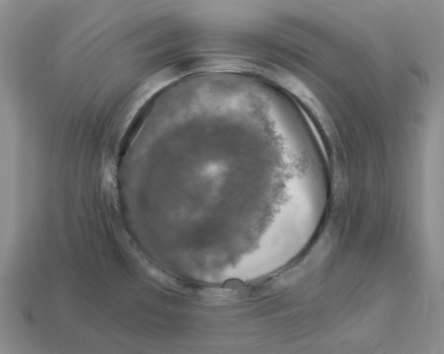 X0000112901481200910021424