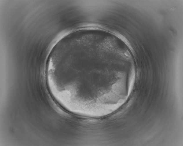 X0000112901482200910021424