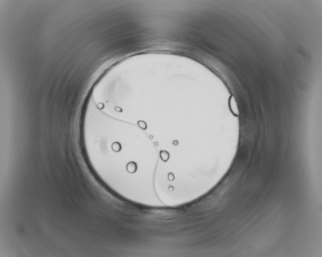 X0000112901483200910021424