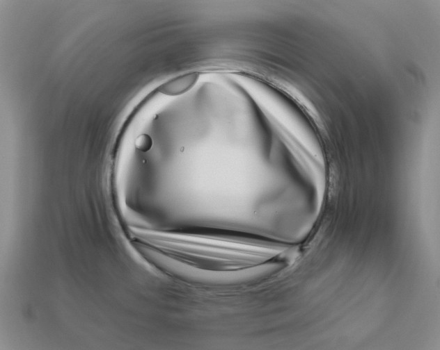 X0000112901484200910021424
