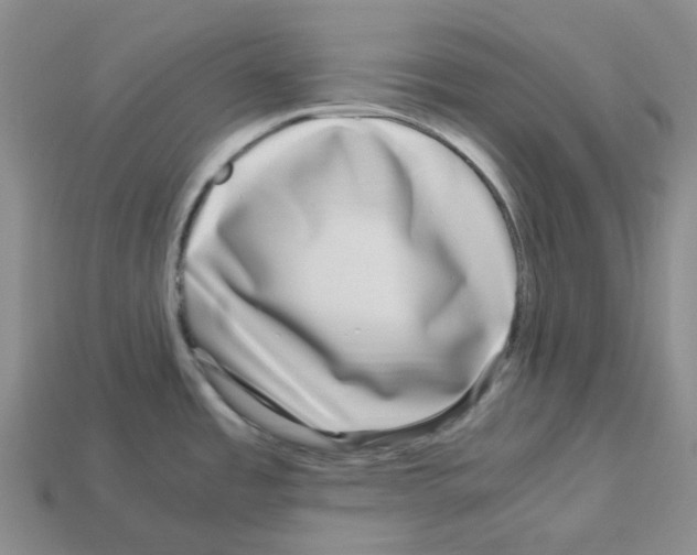X0000112901485200910021424