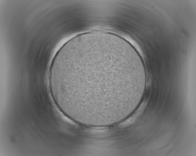 X0000112901486200910021424