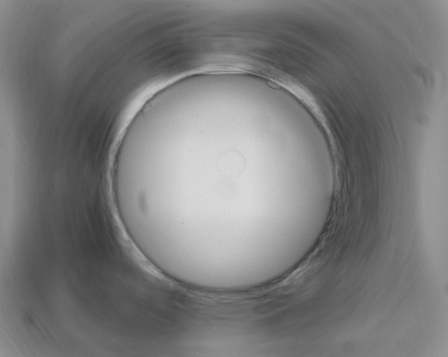 X0000112901488200910021424