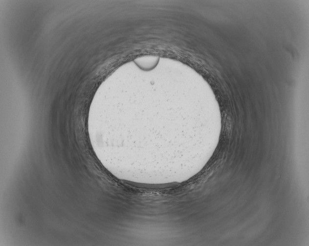 X0000112901489200910021424